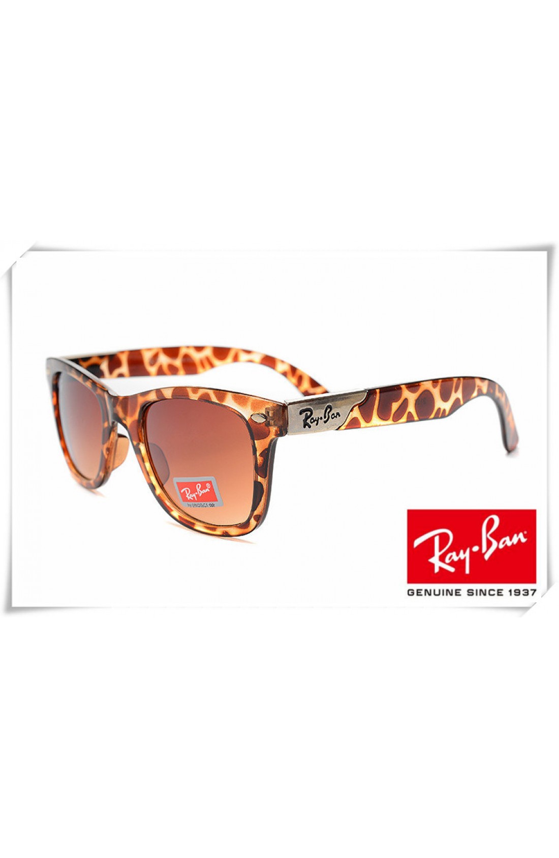 who owns ray ban sunglasses
