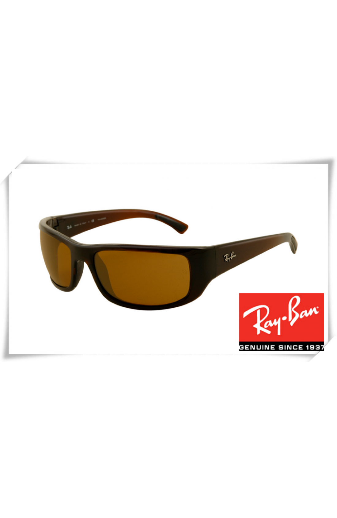 Wholesale Ray Ban RB4176 Sunglasses 